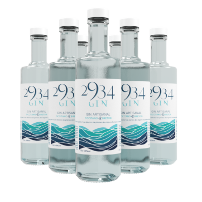 2934 Gin 04