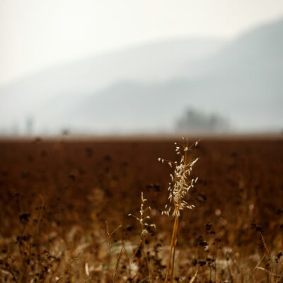 amanda-kuk-rzrHOzt1INg-unsplash